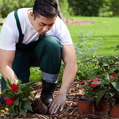 Clique aqui para saber mais sobre a terceirização de serviço de jardinagem